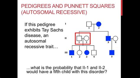 x linked recessive pedigree|how to solve pedigree problems.